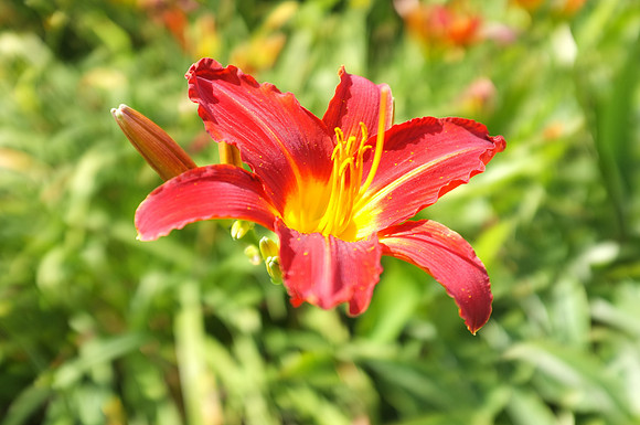 DSCF4738