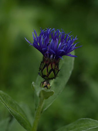 P5310589