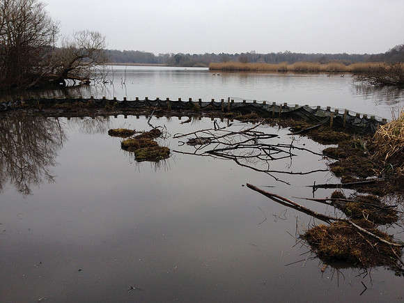 Initial woody debris installation